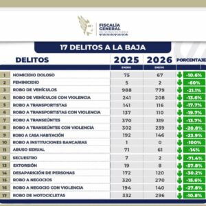 Centros Libre Casas Carmen Serdán reducen en 60% el feminicidio