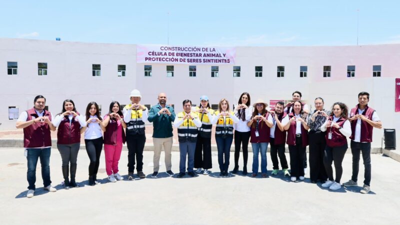 Registra 77% de avance la Primera Célula de Bienestar Animal de Puebla
