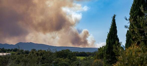Incendios forestales aumentan un 57% en Europa en solo cuatro años