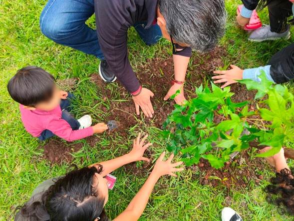Plantarán 2 millones de árboles con visión integral de restauración