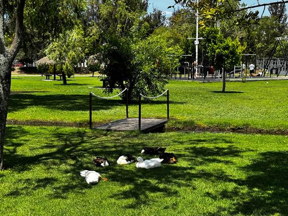 Atienden parques Metropolitano y del Arte, tras las intensas lluvias registradas la tarde-noche del pasado miércoles