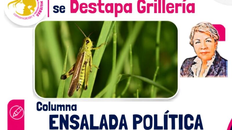 Opinión