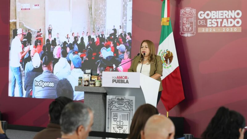 Promueven participación indígena con consulta para consejos regionales