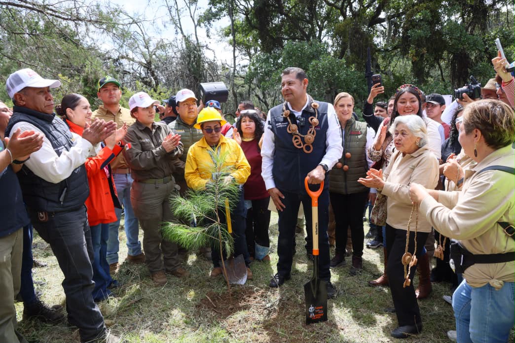Puebla Siembra Futuro con bosques y agua limpia para las próximas generaciones