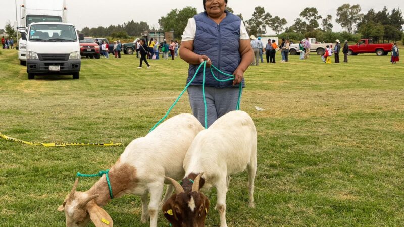 Puebla transforma vidas de familias con apoyo al campo