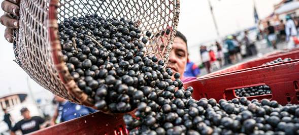 América Latina busca convertir su potencial agroalimentario en inversiones para el campo