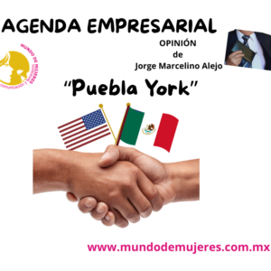Opinión