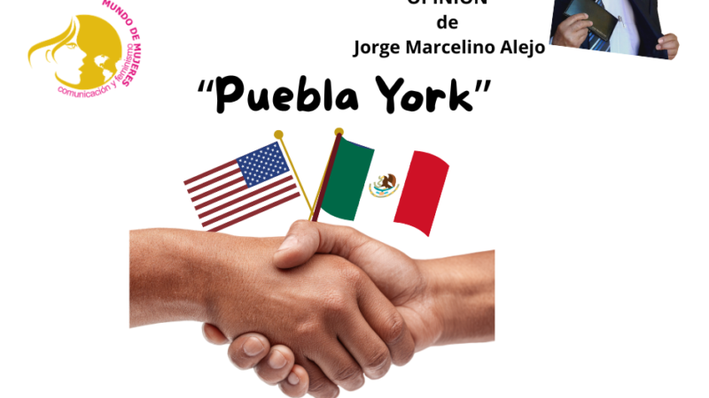 Opinión