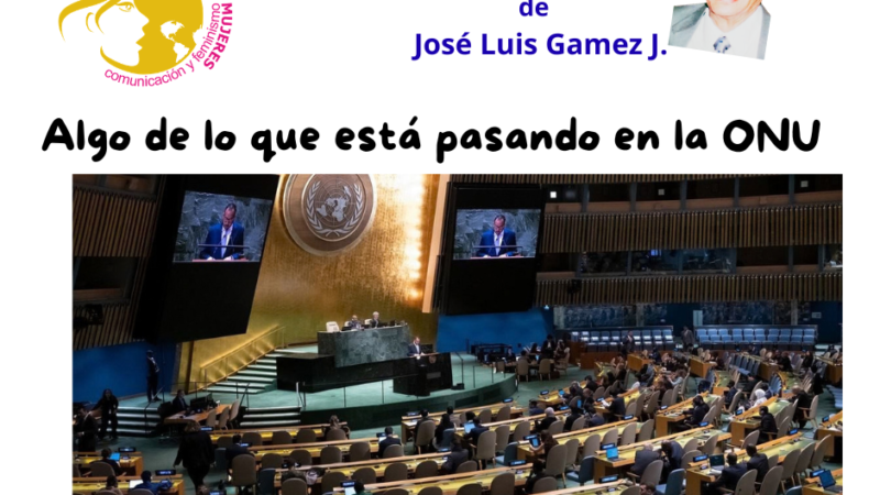 Opinión