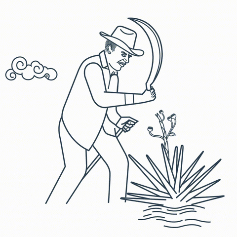 La imagen tiene un atributo ALT vacío; su nombre de archivo es Suggestion.gif