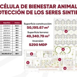 Centro de atención para seres sintientes más grande del mundo en Puebla