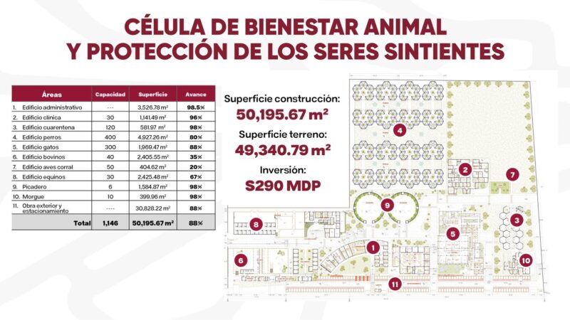 Centro de atención para seres sintientes más grande del mundo en Puebla