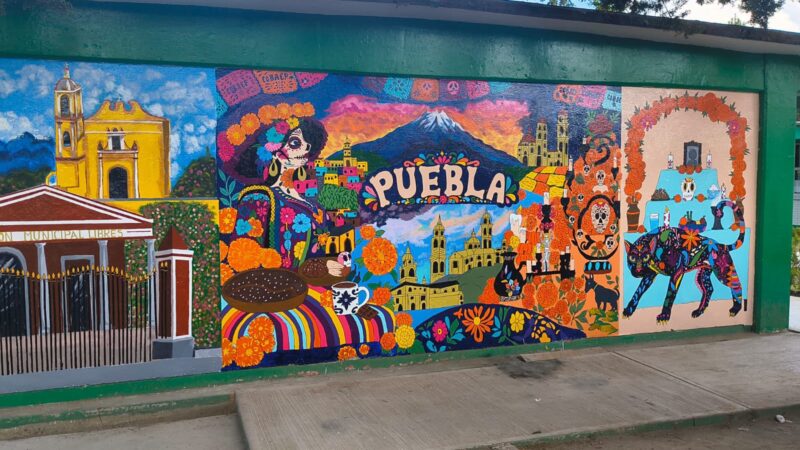Miles de jóvenes de todo el país crean “el mural temático más grande del mundo”, inspirado en el día de muertos: IMJUVE